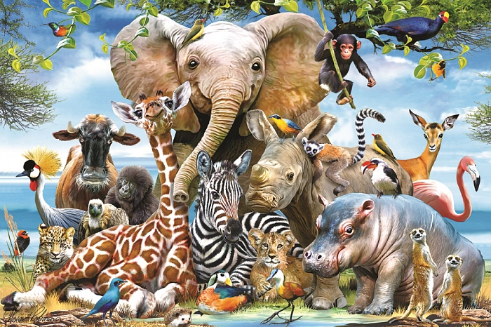 Prime 3D puzzle 150 pieces: the Smile of Africa 10873