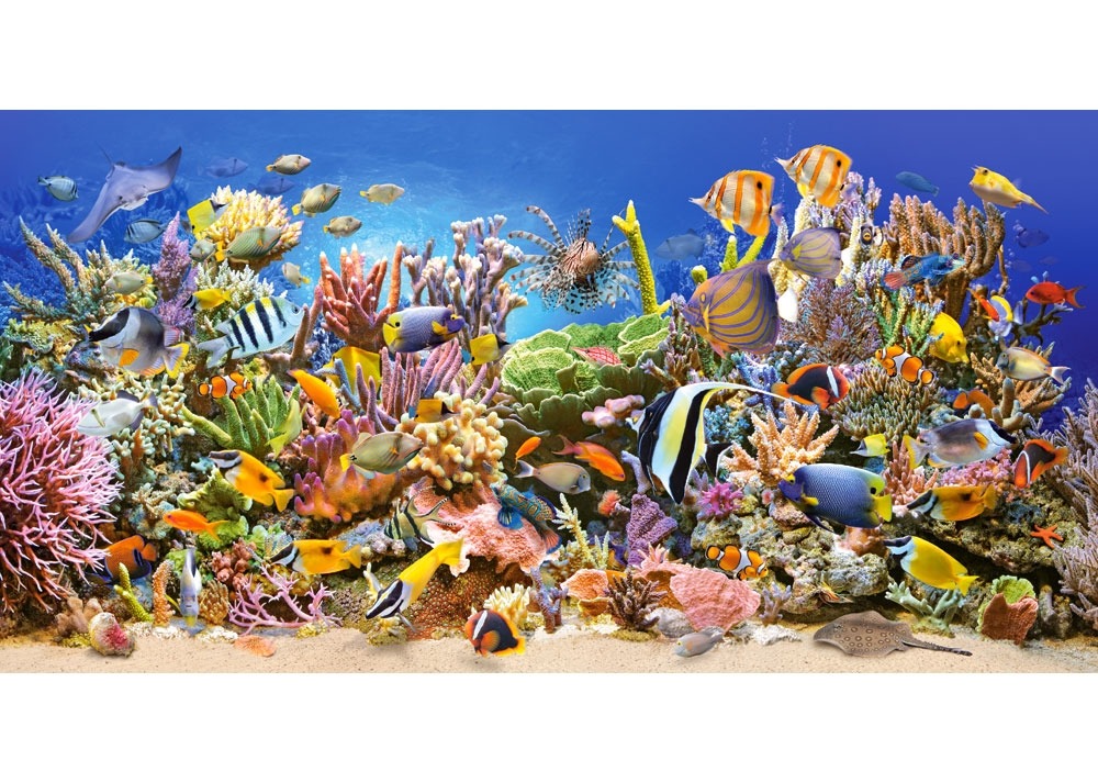 Castorland puzzle 4000 pieces-the Underwater world 