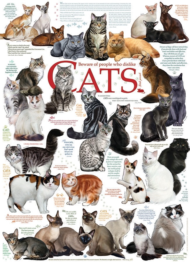 cat breeds puzzle