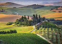 Puzzle Clementoni 1000 pieces: Fields of Tuscany