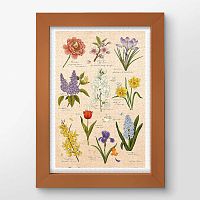 Pintoo 600-piece puzzle: Mandie. Spring flowers
