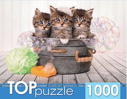 TOP Puzzle 1000 pieces: Three Blue-eyed kittens