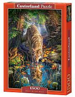 Puzzle Castorland 1500 parts: a Wolf in the wild