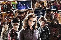 Trefl 160 Puzzle pieces: Harry Potter and Friends