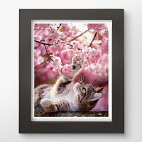 Pintoo Puzzle 500 pieces: A cat among flowers
