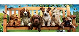 Educa 1000 pieces puzzle: Puppies on a bench