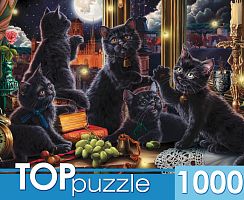 TOP Puzzle 1000 pieces: Black Kittens and Fireflies