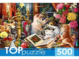 TOP Puzzle 500 Pieces: Night Kittens