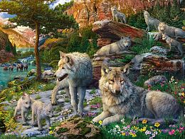 Ravensburger Puzzle 1500 pieces: Spring Awakening of the wolf pack