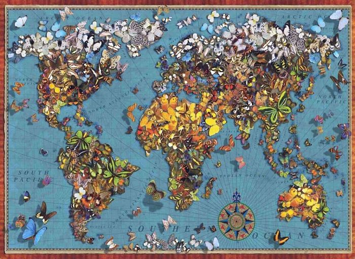 Anatolian jigsaw puzzle 1000 pieces: world Map of butterflies ANA.1029