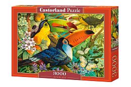 Puzzle Castorland 3000 pieces: Toucans