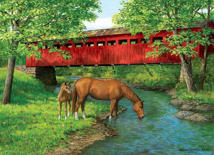 Puzzle Eurographics 1000 pieces: Bridge in the forest 6000-0834