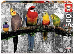 Puzzle Educa 500 pieces: Birds in the jungle