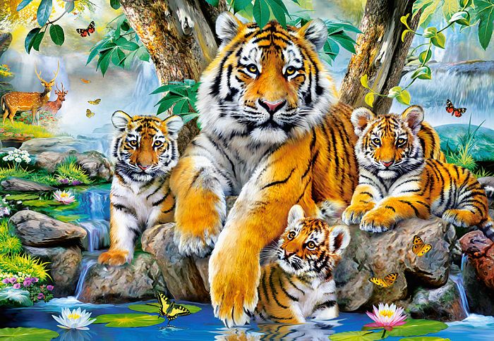 Puzzle Castorland 1000 pieces: the tigers Family at a stream C-104413