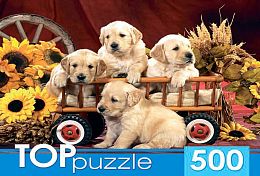 TOP Puzzle 500 Pieces: Labrador Puppies