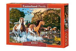 Castorland 1000 Pieces Puzzle: Running on Water