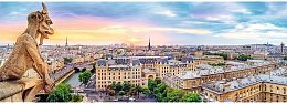 Puzzle Trefl 1000 pieces: the view from the Notre Dame Cathedral