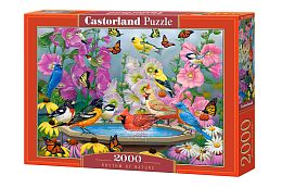 Castorland 2000 puzzle details: The Rhythm of Nature