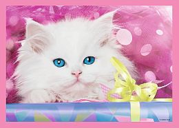 Trefl 35#48#54#70 Puzzle pieces: Funny Kittens (MARKDOWN)