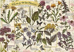 Trefl 500 puzzle pieces: Herbarium. Medicinal herbs