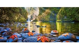 Puzzle Castorland 600 parts: Morning
