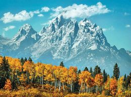 Puzzle Clementoni 500 details: the Grand Teton in the fall. USA
