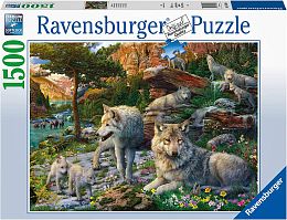 Ravensburger Puzzle 1500 pieces: Spring Awakening of the wolf pack