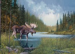 Cobble Hill 1000 Pieces Puzzle: Moose Lake