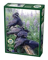 Cobble Hill 1000 Pieces Puzzle: Crows