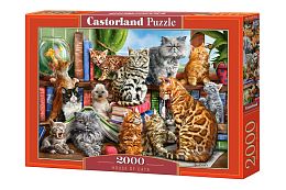 Puzzle Castorland 2000 details: Cats