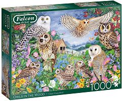 Falcon 1000 puzzle details: Owls in the forest