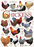 Cobble Hill 1000 Pieces Puzzle: Quotes about Chicken