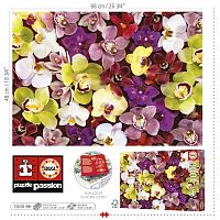 Educa 1000 pieces Puzzle: Collage of orchids