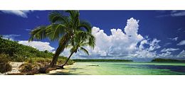 Puzzle Heye panorama 2000 details: Palm Paradise