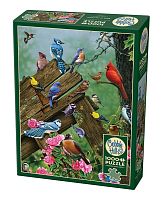 Cobble Hill 1000 Pieces Puzzle: Forest Birds