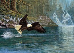 Cobble Hill 1000 pieces puzzle: The Eagle. Fly fishing