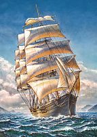 Cherry Pazzi Puzzle 1000 pieces: Sailboat WR Grace