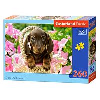 Puzzle Castorland 260 pieces: Dachshund