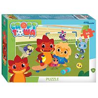 Step puzzle 35 pieces: Tosha Sports