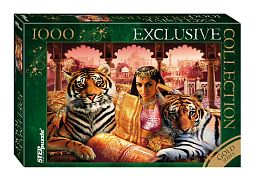 Step puzzle 1000 pieces: Princess of India