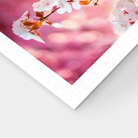 Pintoo 500-piece Puzzle: Siba among Flowers