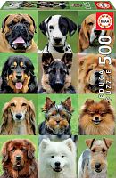 Puzzle Educa 500 pieces: Collage dogs