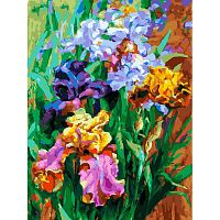 Painting by numbers Snow White: Garden Irises