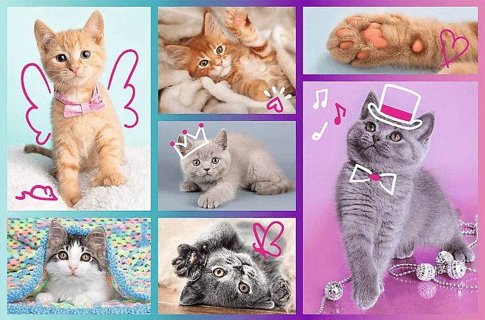 Trefl Puzzle 60 pieces: Sweet Kittens TR17373