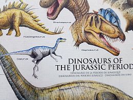 Puzzle Eurographics 1000 pieces: Dinosaurs of the Jurassic period