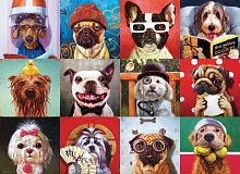 Puzzle Eurographics 1000 items: Funny dogs, Lucia Heffernan