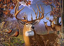 Cobble Hill puzzle 1000 pieces Deer and pheasants
