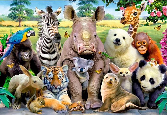 Animals jigsaw puzzle 1000 pieces Educa: Cool photo 15517