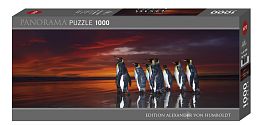 Puzzle Heye panorama 1000 pieces: king penguins