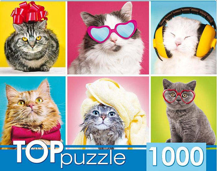 TOP Puzzle 1000 Pieces: Funny Kittens ГИТП1000-4138